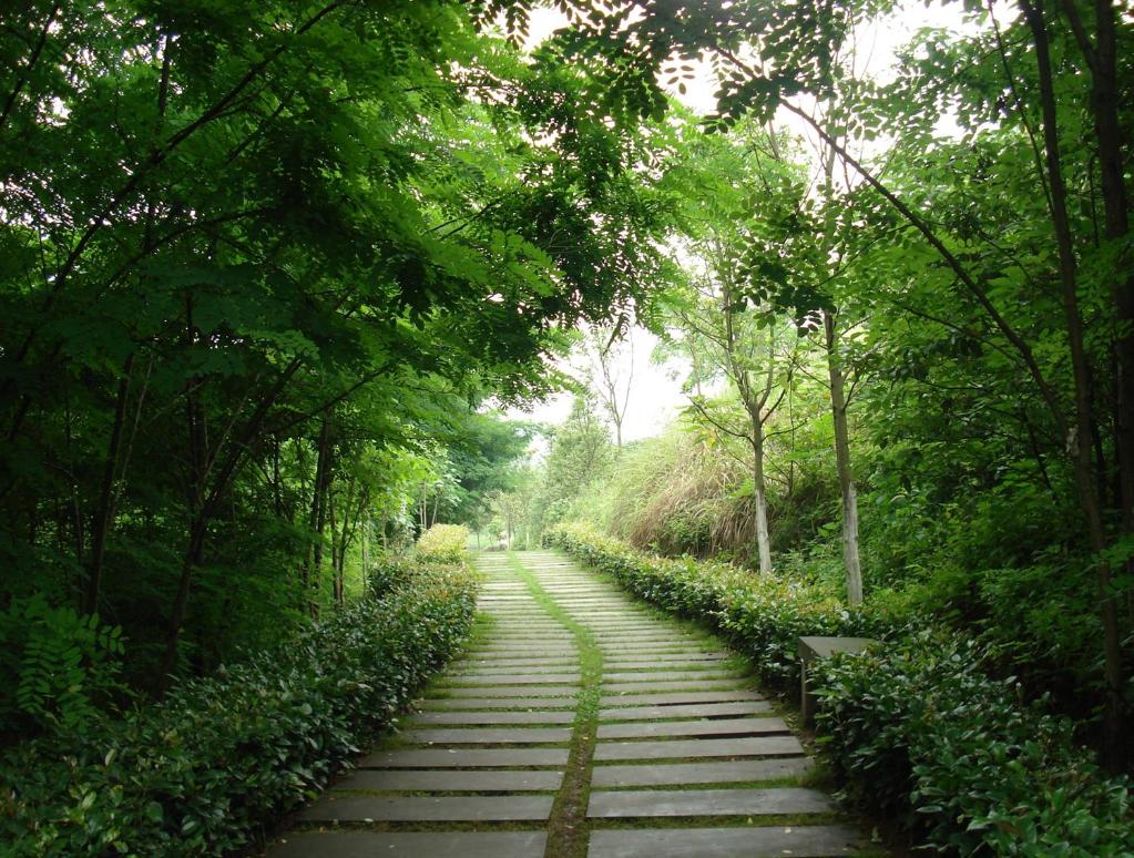济湖南路