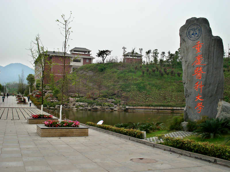 缙云校区主入口