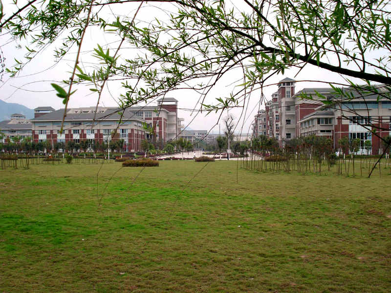 远眺教学楼